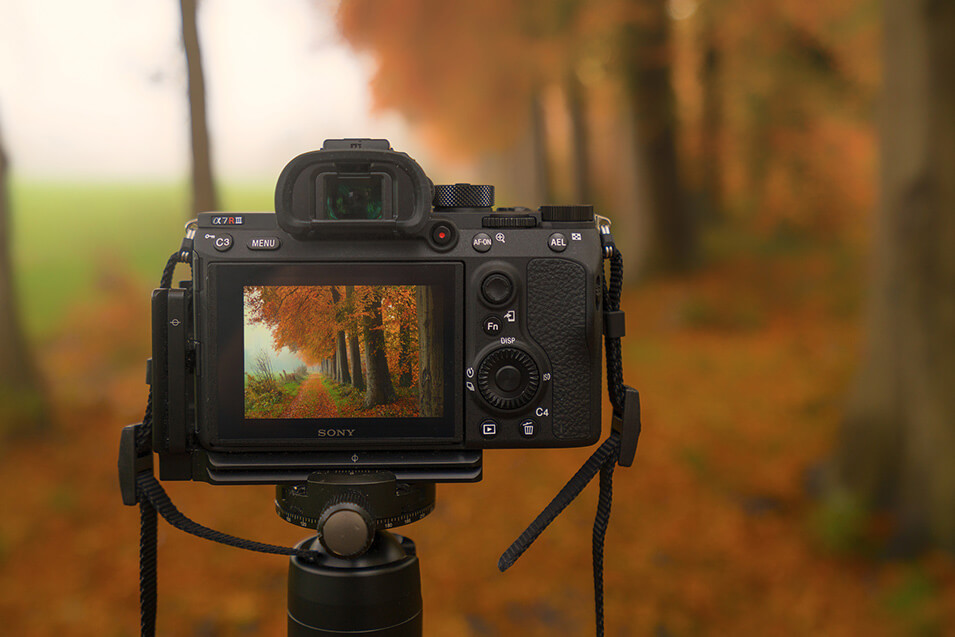 De Sony A7 R III voor landschapsfotografie - 1