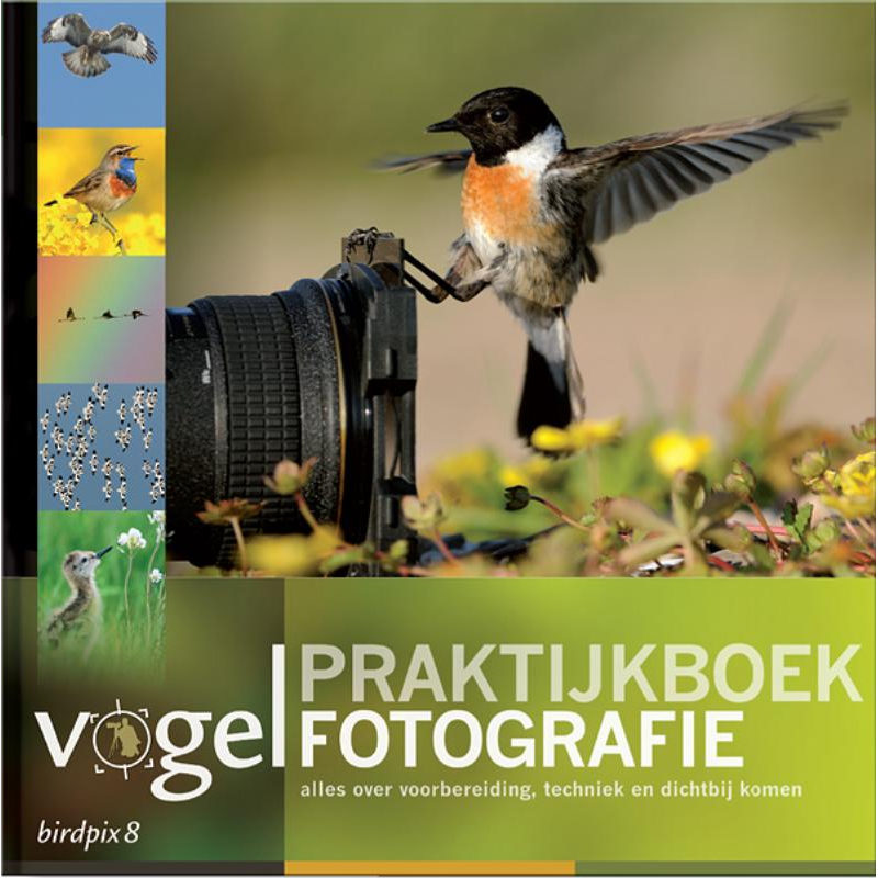 Image of Birdpix 8 - Praktijkboek Vogelfotografie