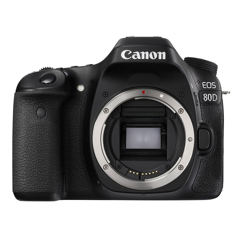 Image of Canon EOS 80D body