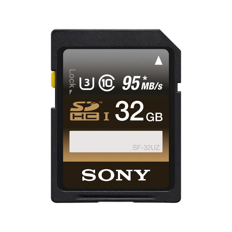 Image of 32GB SD Professional Class10 UHS-I 95 MB/s