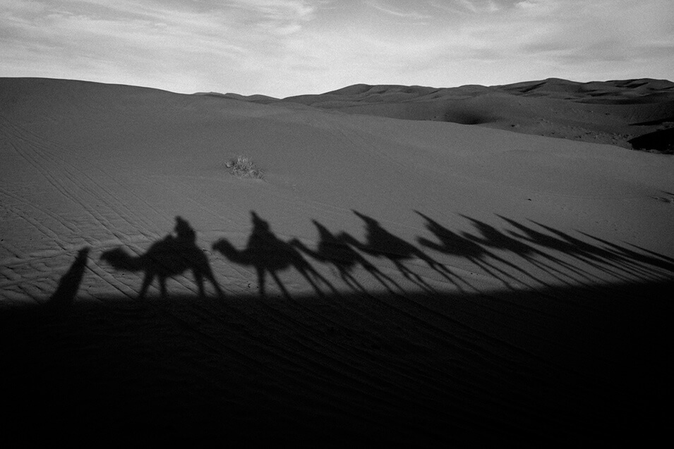 Met de Nikon D850 op reis naar de Sahara - 19
