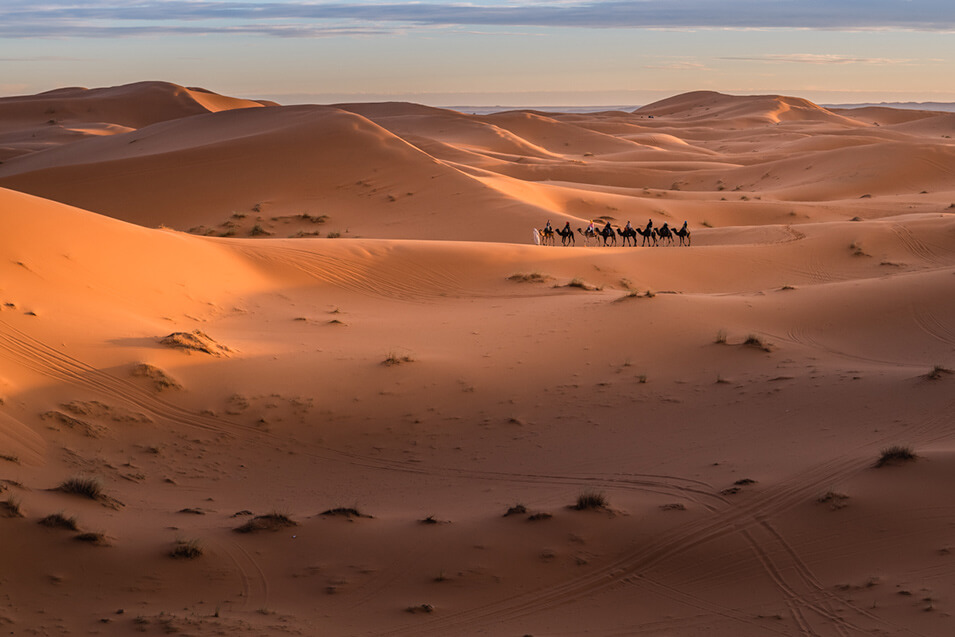 Met de Nikon D850 op reis naar de Sahara - 22