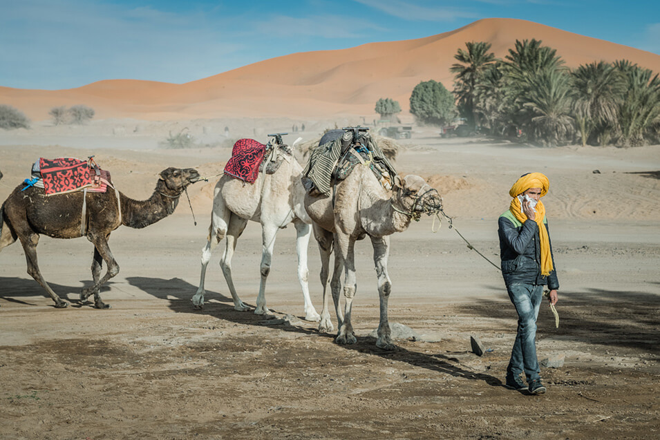 Met de Nikon D850 op reis naar de Sahara - 17