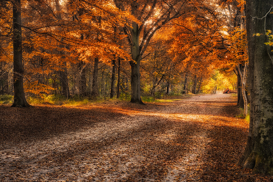 10 tips voor landschapsfotografie in de herfst - 4