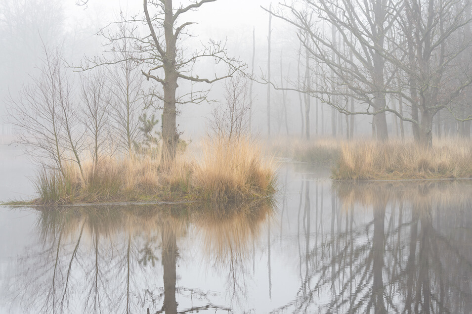 Landschappen fotograferen in de mist - 2