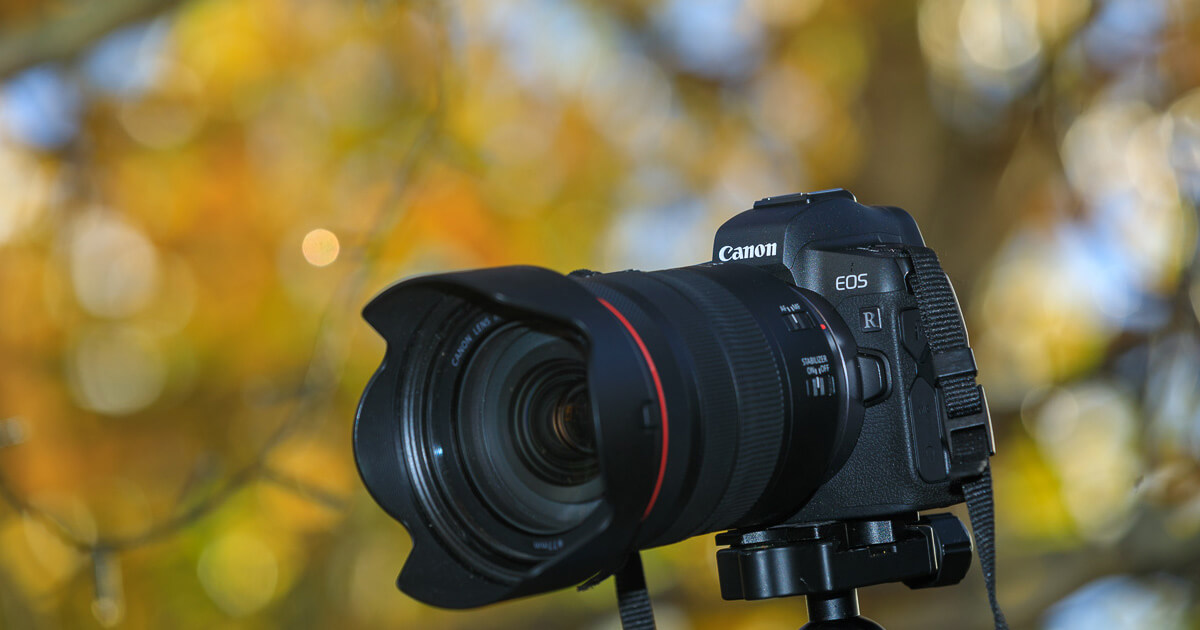 Gebruiksreview over de Canon EOS R systeemcamera