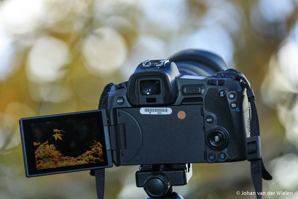 Review over de Canon EOS R systeemcamera - 4