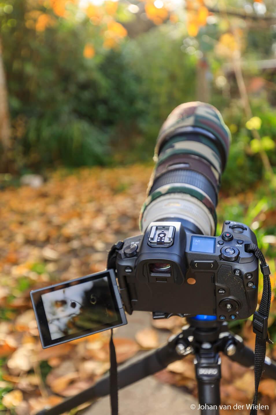 Review over de Canon EOS R systeemcamera - 7