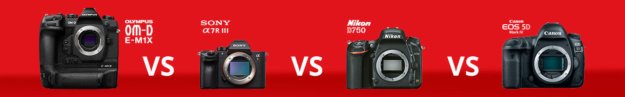 Olympus E-M1X vs Sony, Nikon en Canon! - 1