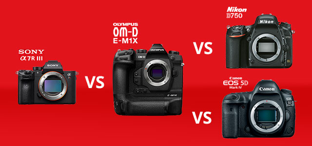 Olympus E-M1X vs Sony, Nikon en Canon! - 2