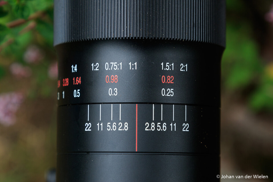 Product review Laowa 100mm f/2.8 2X macrolens - 6