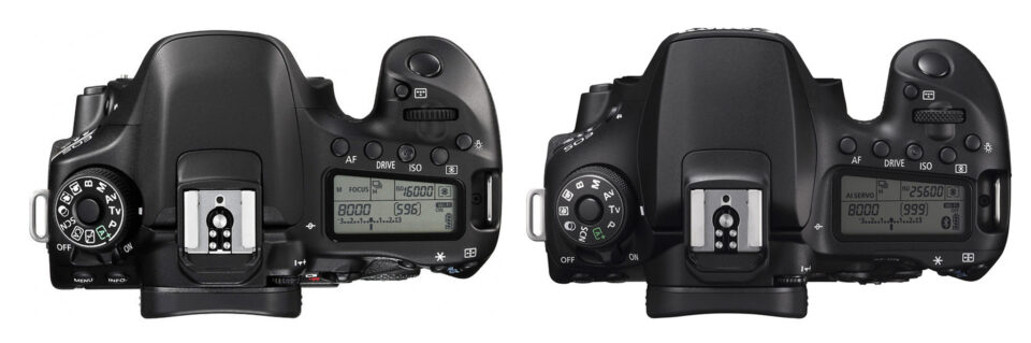 Canon EOS 90D vs EOS 80D - 6