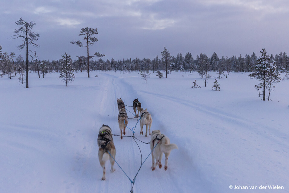 De Canon EOS 90D in Lapland | Cameranu | Review - 6