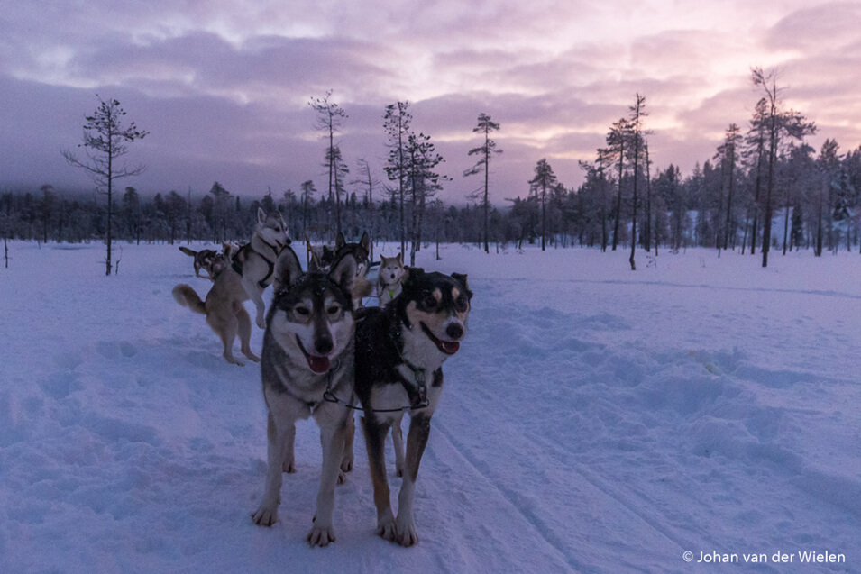 De Canon EOS 90D in Lapland | Cameranu | Review - 21