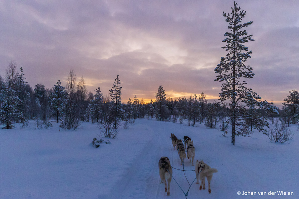 De Canon EOS 90D in Lapland | CameraNU.nl | Review - 24