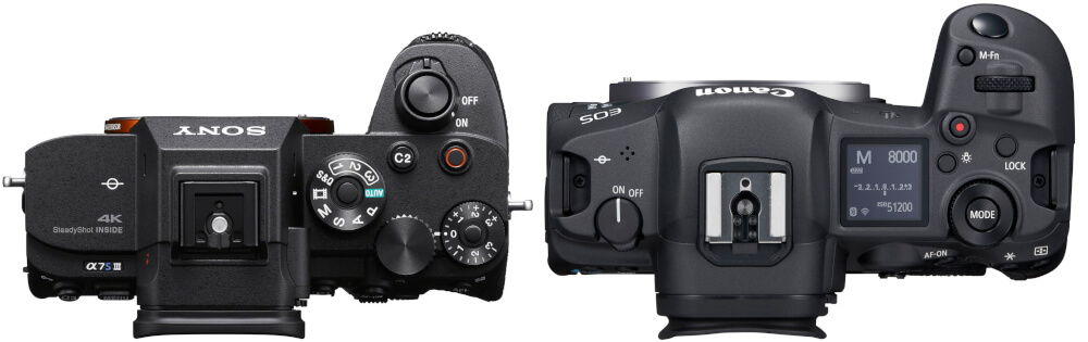Sony A7S III vs Canon R5 - 4