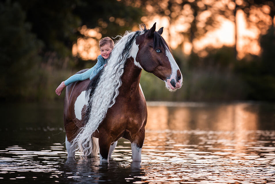 10 tips voor het maken van paardenfoto's - 3