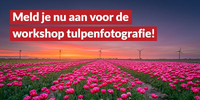 Tulpenfotografie workshop door Marijn Alons - 2