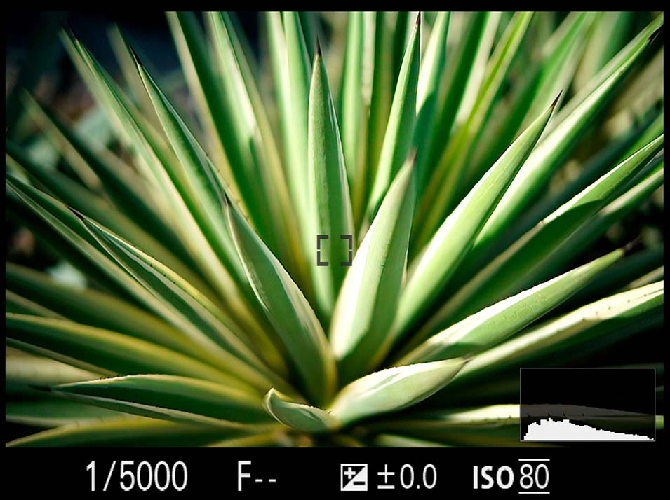 Review Laowa Argus 35mm f/0.95 FF lens - 3