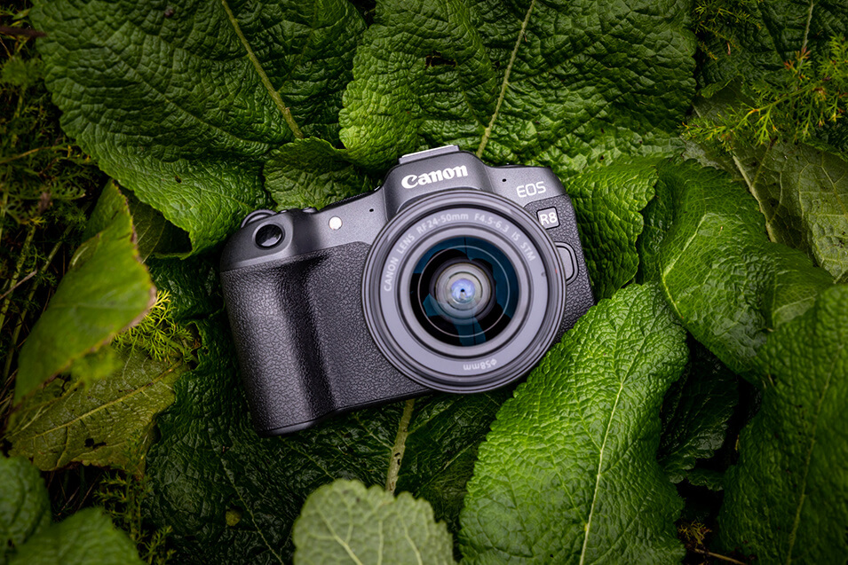 Review Canon EOS R8 systeemcamera - 1