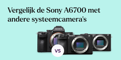 Sony A6700 vs Sony A6600 vs Sony A7 III - 3