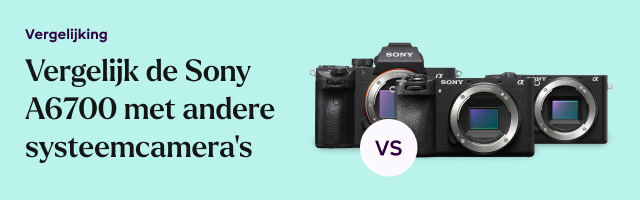 Sony A6700 vs Sony A6600 vs Sony A7 III - 2