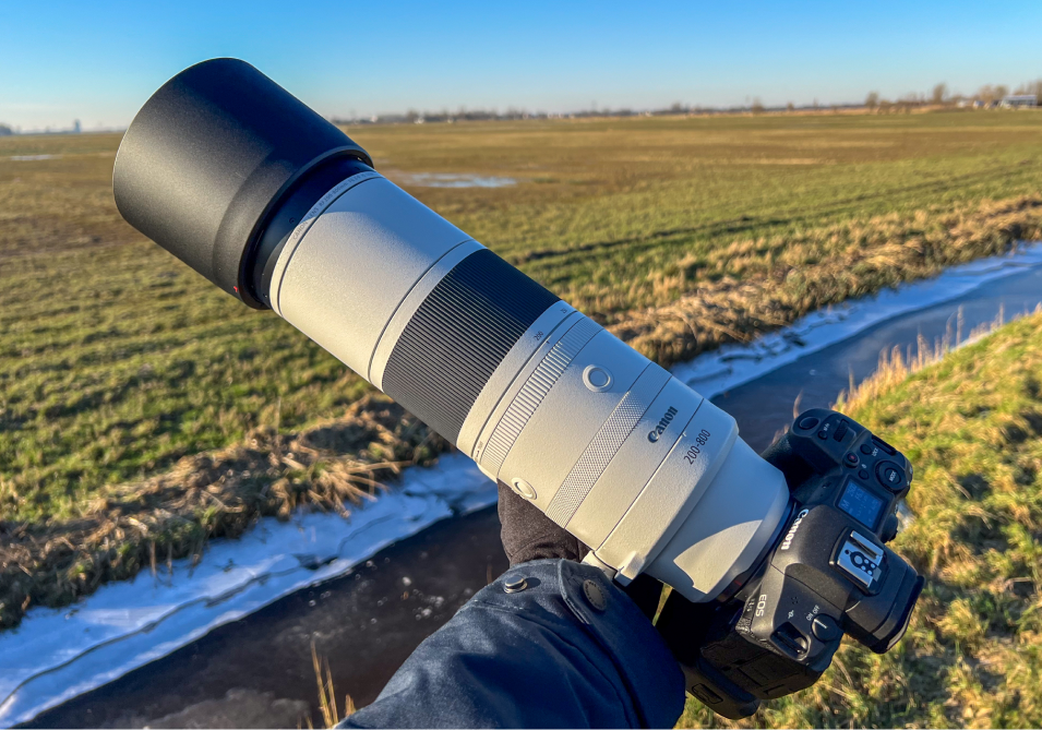 Review Canon RF 200-800mm - 1